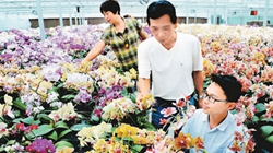 臺(tái)商眼中的改革開放：風(fēng)景這邊獨(dú)好 要去，要去，要去！