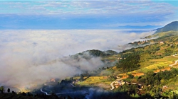 臺(tái)胞臺(tái)商熱議陜西惠臺(tái)&ldquo;60條&rdquo;：期盼落實(shí)、共享機(jī)遇