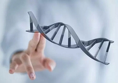 小細胞肺癌需要做基因檢測嗎？