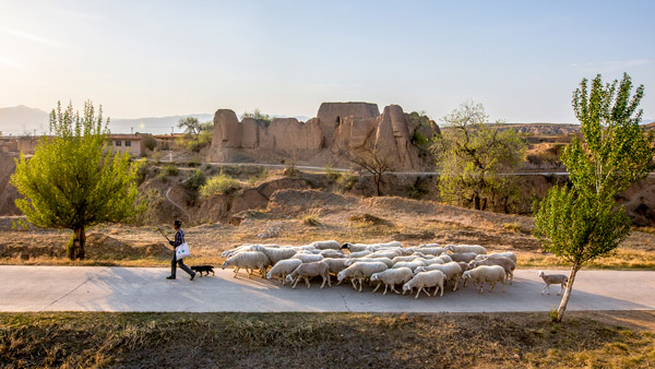 追夢(mèng)足跡｜上馬圈：鐵馬冰河，黃土斑駁
