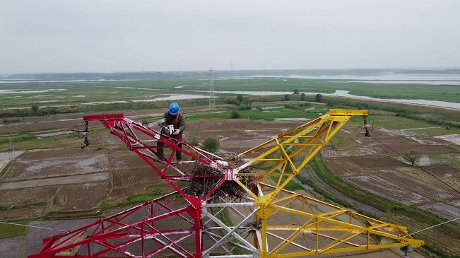 萌萌噠 東方白鸛寶寶鐵塔上開(kāi)通&ldquo;直播間&rdquo;