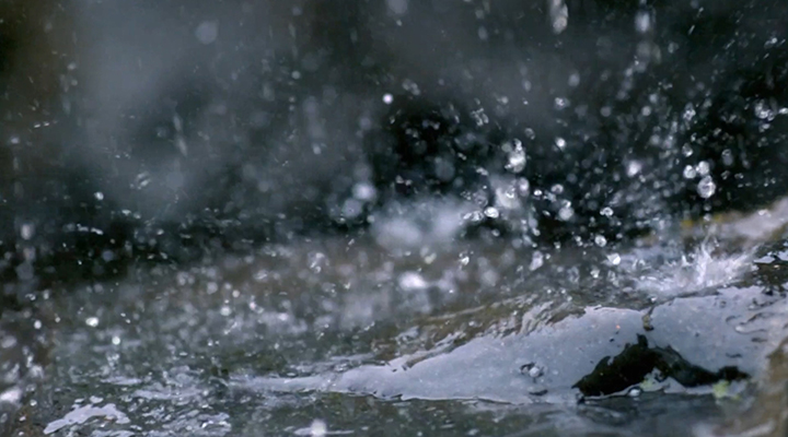 城市內(nèi)澇暴雨避險(xiǎn)指南來(lái)了！