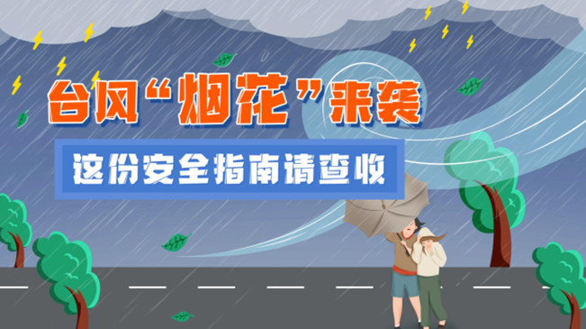 MG動畫：臺風(fēng)&ldquo;煙花&rdquo;來襲，這份安全指南請查收