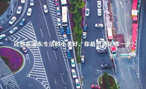 在浦東生活的小美好 你最想遇見哪一個？