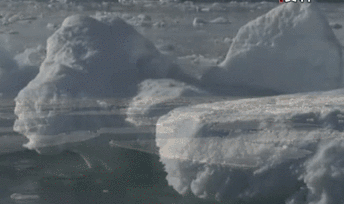 聯(lián)合國(guó)環(huán)境署發(fā)布全球環(huán)境報(bào)告：人類對(duì)自然的&ldquo;自殺式戰(zhàn)爭(zhēng)&rdquo;釀成三大危機(jī)