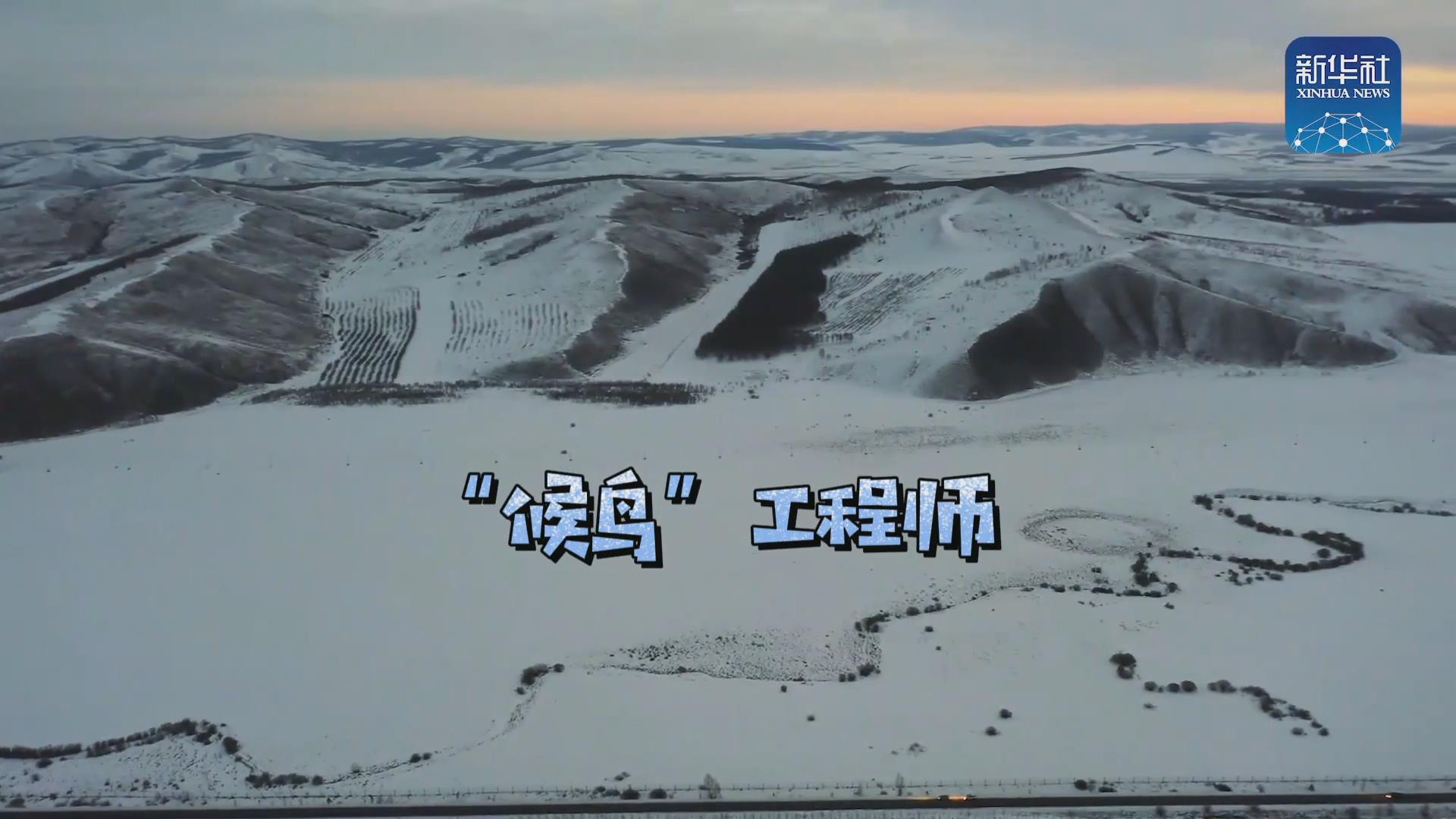 我們?cè)诒寂茇宦废虮?！他是逆行?ldquo;候鳥&rdquo;