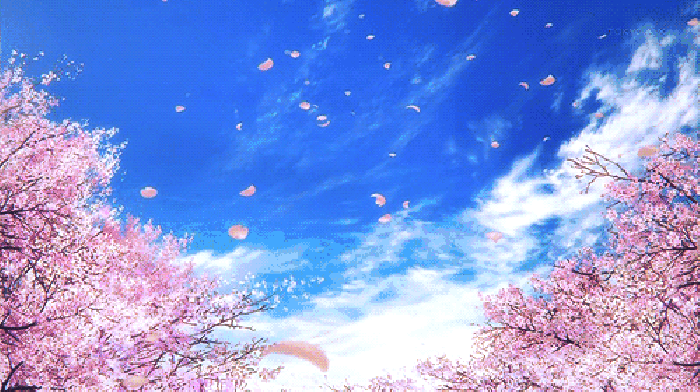 寧波這個(gè)地方早櫻花開成海，滿足你對(duì)春天的所有想象