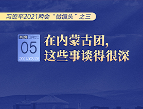 習(xí)近平2021兩會(huì)&ldquo;微鏡頭&rdquo;之三 3月5日 在內(nèi)蒙古團(tuán)，這些事談得很深