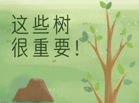 這些樹很重要！
