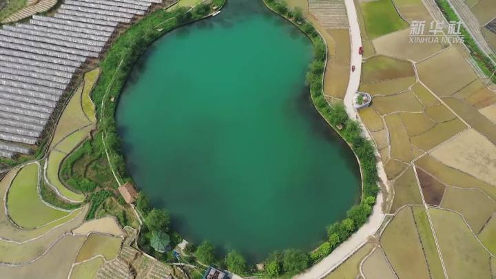 稻田新插，這里的山村美翻了！