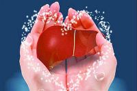 【健康解碼】轉(zhuǎn)氨酶正常肝臟就一定正常嗎？