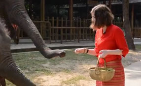 勐巴拉娜西！&ldquo;洋記者&rdquo;帶你游西雙版納