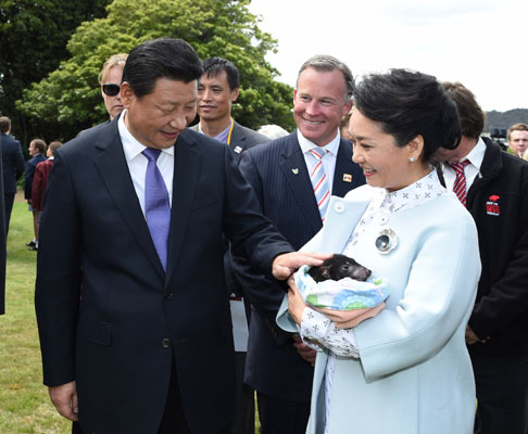 11月18日，國家主席習近平在澳大利亞塔斯馬尼亞州與朗塞斯頓市斯科奇－歐克伯恩小學的小學生共同植樹。這是習近平和夫人彭麗媛植樹后撫摸袋獾。新華社記者 馬占成 攝