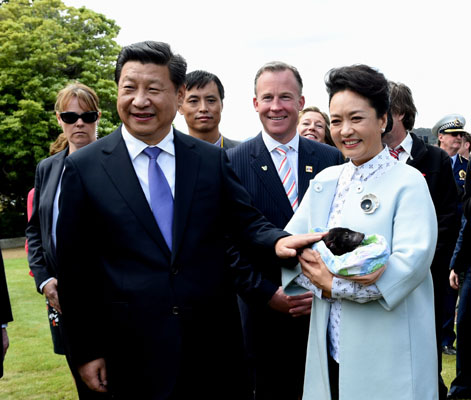 11月18日，國家主席習近平在澳大利亞塔斯馬尼亞州與朗塞斯頓市斯科奇－歐克伯恩小學的小學生共同植樹。這是習近平和夫人彭麗媛植樹后撫摸袋獾。新華社記者 饒愛民 攝