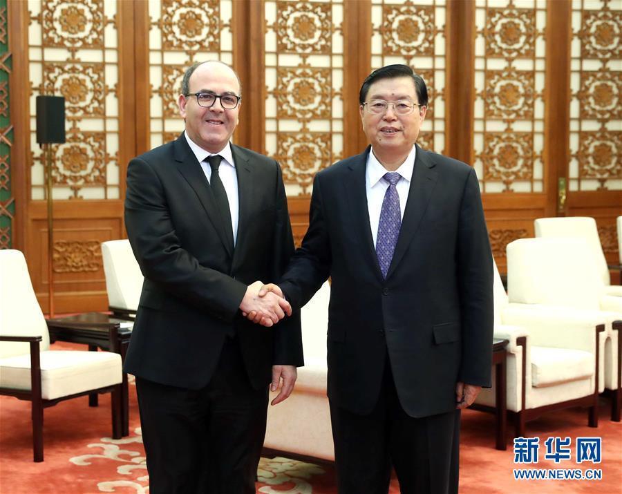 12月20日，全國人大常委會委員長張德江在北京人民大會堂會見摩洛哥參議長本希馬。新華社記者劉衛(wèi)兵攝