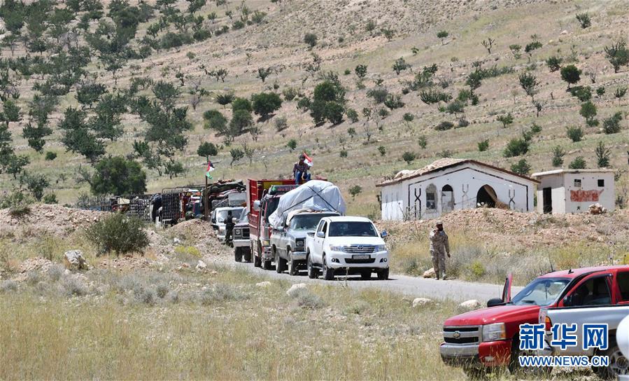 （國際&middot;圖文互動(dòng)）（5）歸鄉(xiāng)，不再流浪&mdash;&mdash;記敘利亞難民返鄉(xiāng)