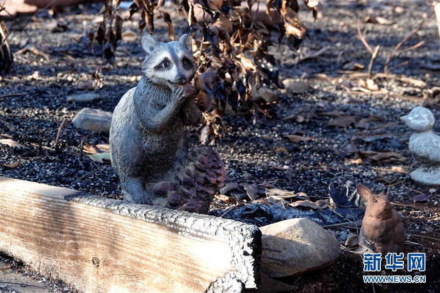 （國際&middot;圖文互動）（4）一場山火，讓這個冬天格外冷&mdash;&mdash;探訪美國加州山火災(zāi)區(qū)