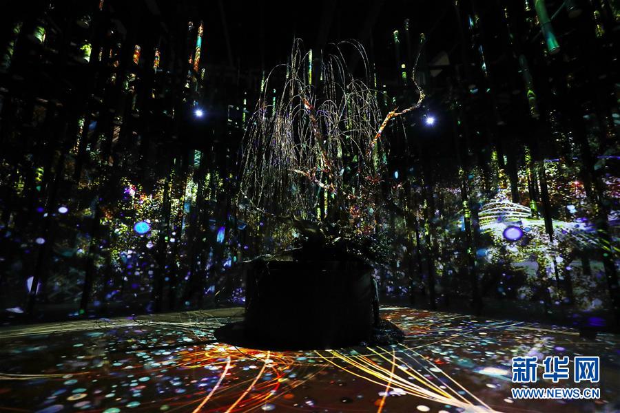 （國際）（4）日本東京：寒冬時(shí)節(jié)賞&ldquo;繁花&rdquo; 