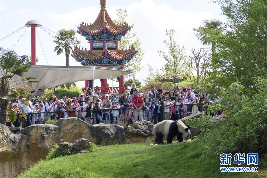 (習(xí)近平出訪配合稿·圖文互動)(2)綜述:互利共贏 敢為人先——中法關(guān)系行穩(wěn)致遠