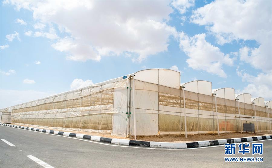(國際·“一帶一路”高峰論壇·圖文互動)(1)荒漠正在成為瓜果飄香的綠洲——記中國國機(jī)重工埃及現(xiàn)代農(nóng)業(yè)溫室項目