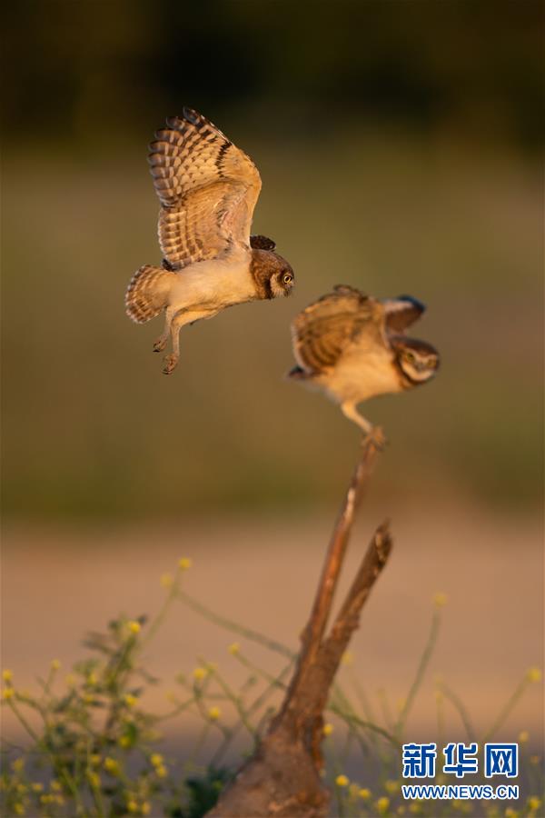（國(guó)際&middot;一周看天下）練習(xí)