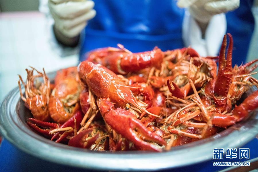 (國際·圖文互動)(1)從尼羅河畔到中國餐桌——一只“洋”小龍蝦的36小時旅程