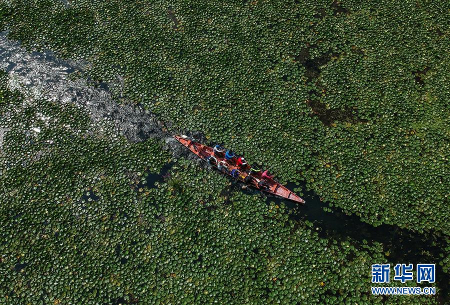 （國際&middot;年終報道）（8）2019，精&ldquo;彩&rdquo;紛呈