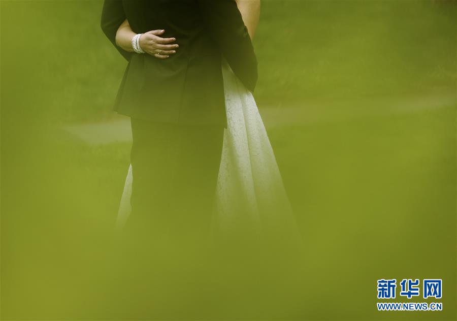 （國際&middot;年終報(bào)道）（13）2019，精&ldquo;彩&rdquo;紛呈