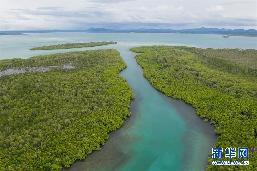 （國際&middot;海外中國人追夢故事）（2）李嘉文：我在印尼當(dāng)&ldquo;島主&rdquo;