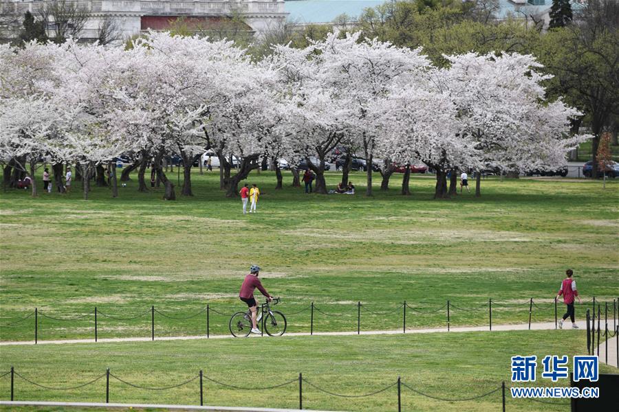 (國際疫情)(1)約翰斯·霍普金斯大學(xué):美國新冠肺炎確診病例超10萬例
