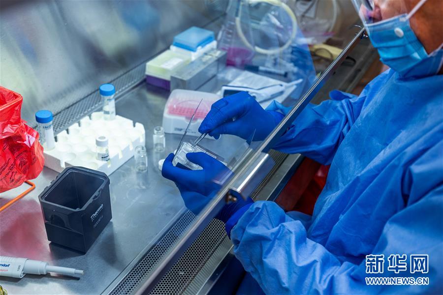(新華全媒頭條·圖文互動(dòng))(3)為人類戰(zhàn)疫打造最有力的武器——全球合力加速研發(fā)新冠疫苗