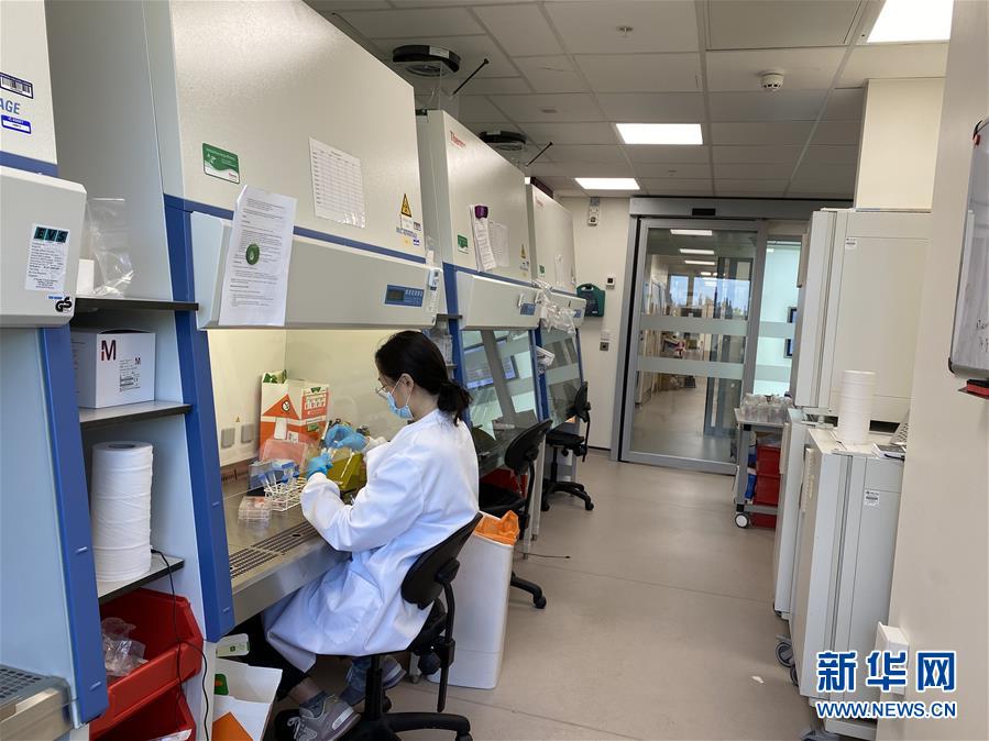 (新華全媒頭條·圖文互動(dòng))(10)寰球抗疫晝夜間