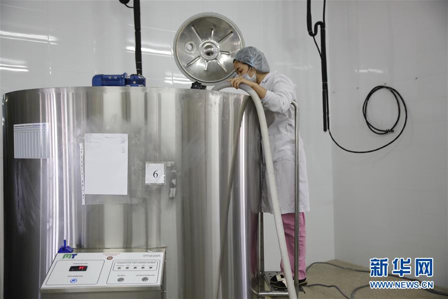 （國(guó)際&middot;圖文互動(dòng)）（4）從&ldquo;先遣隊(duì)&rdquo;到&ldquo;正規(guī)軍&rdquo;&mdash;&mdash;哈薩克斯坦駱駝奶粉入華記