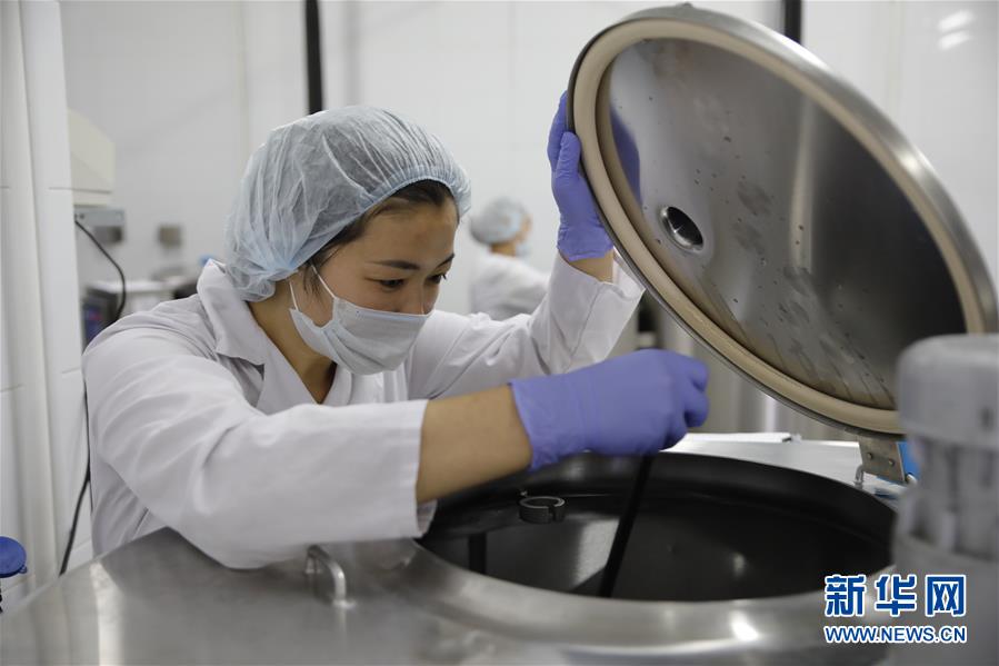 （國(guó)際&middot;圖文互動(dòng)）（5）從&ldquo;先遣隊(duì)&rdquo;到&ldquo;正規(guī)軍&rdquo;&mdash;&mdash;哈薩克斯坦駱駝奶粉入華記