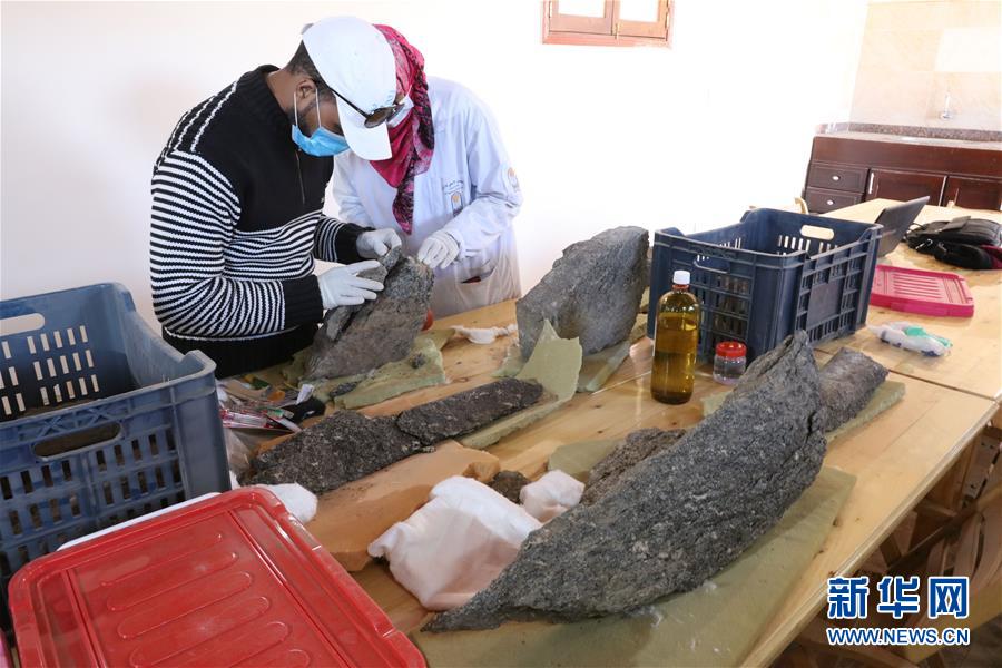(國際·圖文互動(dòng))(4)疫中考古——中國與埃及首次聯(lián)合考古取得階段性成果