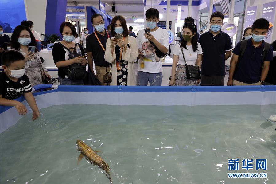 （2020服貿(mào)會）（6）各顯神通的&ldquo;機器伙伴&rdquo;