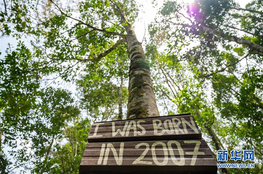 （第三屆進(jìn)博會(huì)&middot;圖文互動(dòng)）（4）專訪：進(jìn)博會(huì)提供了一個(gè)共享中國(guó)發(fā)展機(jī)遇的平臺(tái)