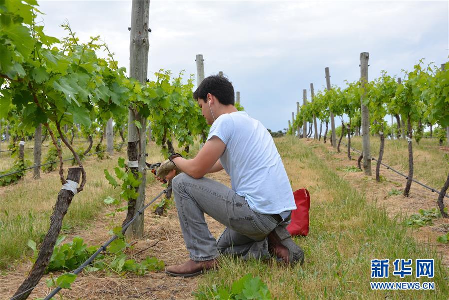 (第三屆進(jìn)博會(huì)·圖文互動(dòng))(7)專訪:進(jìn)博會(huì)是了解中國市場(chǎng)的好機(jī)會(huì)——訪澳大利亞諾瓦維塔葡萄酒集團(tuán)創(chuàng)始人卡臣