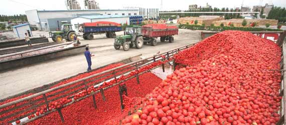 中國推動構(gòu)建共贏、互信、發(fā)展的新絲綢之路