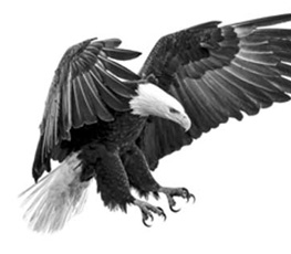 誰是世界秩序的真正破壞者？