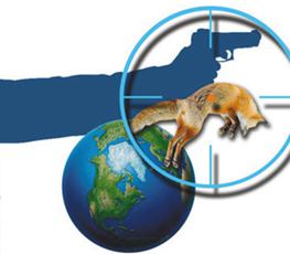 中國全球&ldquo;獵狐&rdquo;戰(zhàn)果豐碩！