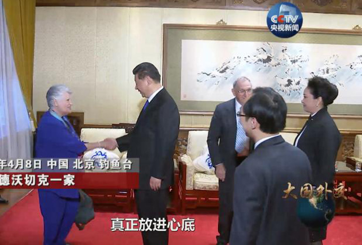 綜述：&ldquo;這部專題片深深撥動了我們的心弦&rdquo;&mdash;&mdash;《大國外交》帶給海外中國人自豪與感動