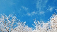 湖北?？蹈呱届F凇美如畫