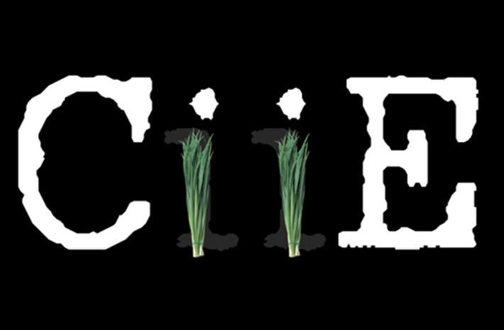 新華社創(chuàng)意動感視頻：考眼力！數(shù)數(shù)多少樣進(jìn)口貨