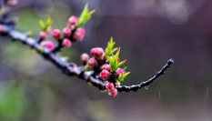 隨心而行，走走停停始終精彩。