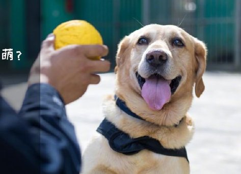 為了&ldquo;破冰&rdquo;，它們英勇無(wú)畏！