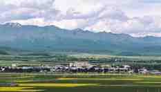 甘肅祁連山&ldquo;雪頂&rdquo;與萬(wàn)畝油菜花交相輝映