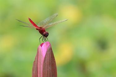 2019，精&ldquo;彩&rdquo;紛呈