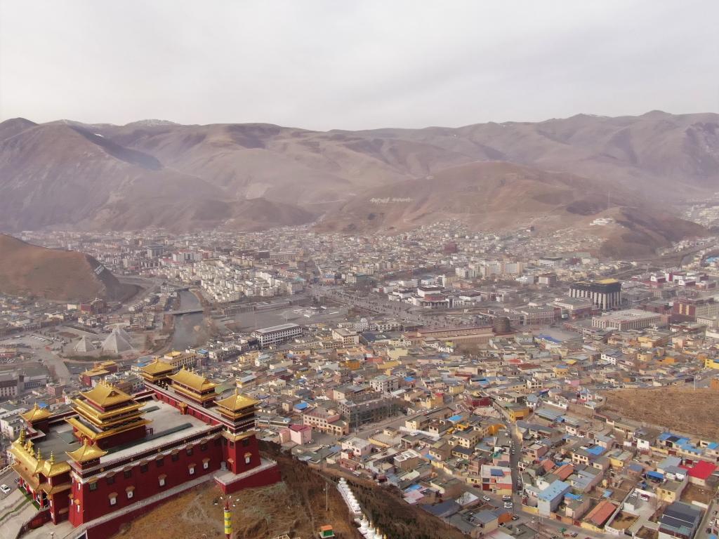 震后11年，玉樹正芳華