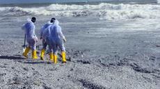 斯里蘭卡:清理貨船碎片